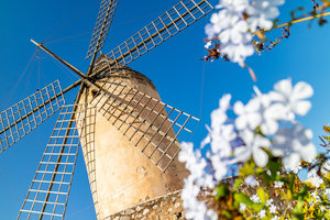 Historical windmill in the old town of Palma de Mallorca